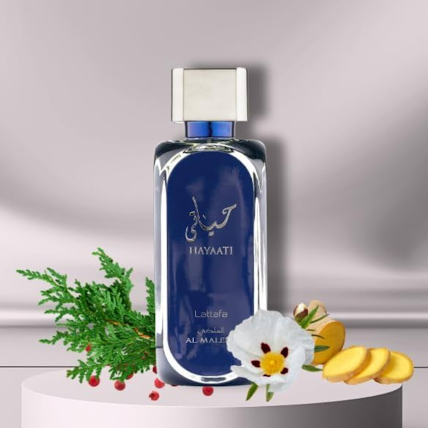 Hayaati Blue(unisex)