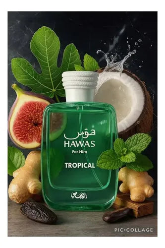 Hawas Tropical (man)