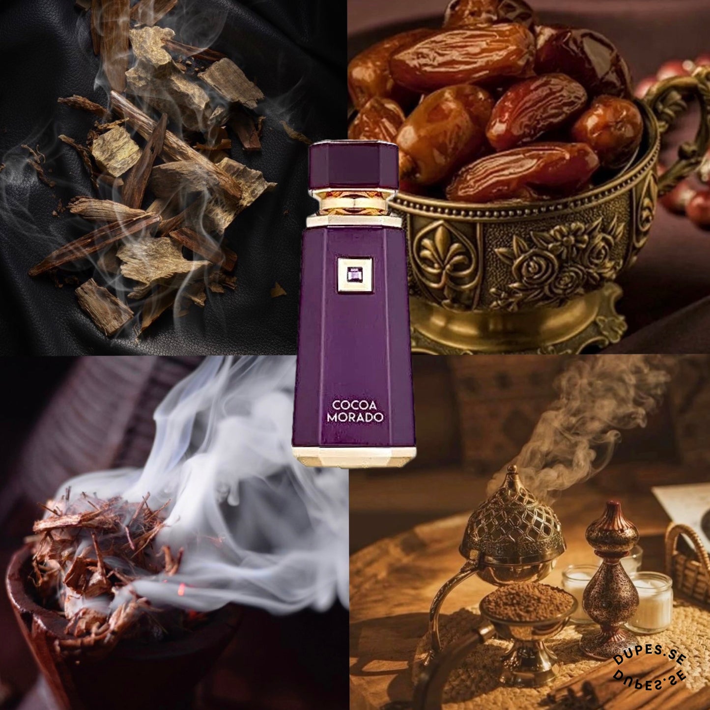 Cocoa Morado(unisex)