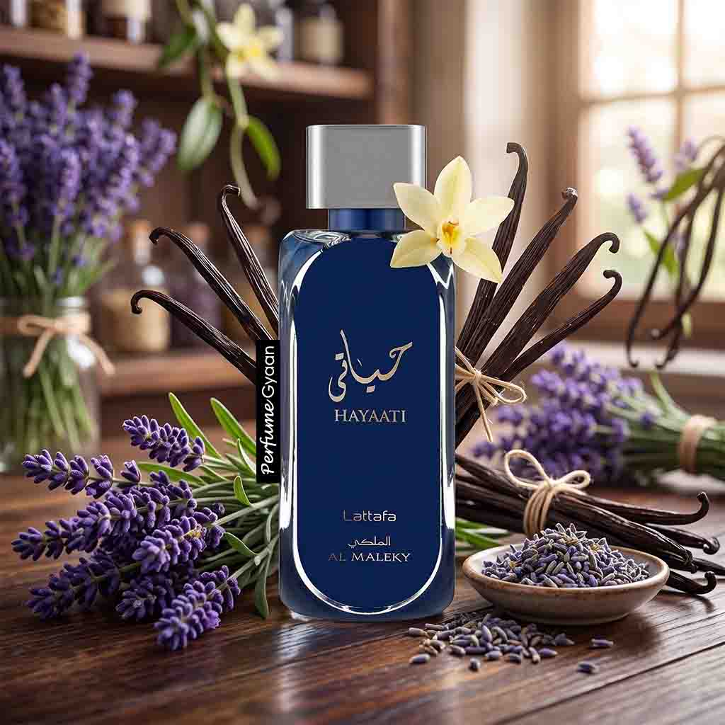 Hayaati Blue(unisex)